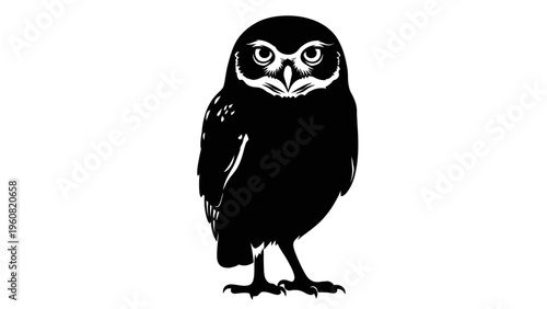 Black Silhouette of a Little Owl Standing on White Background