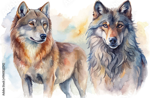 Hand-Painted Wolf Watercolor, Woodland Wildlife Clipart, Isolated Vector Illustration