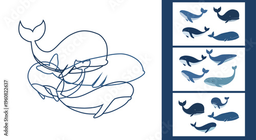 Vector educational contour game. Find the correct outline of the whales. Challenge task. Practical sheet