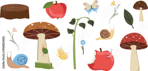 Cute forest nature vector set with mushrooms, snails, butterflies, flowers, apples and woodland elements, hand drawn cartoon clipart collection isolated on transparent background for kids design