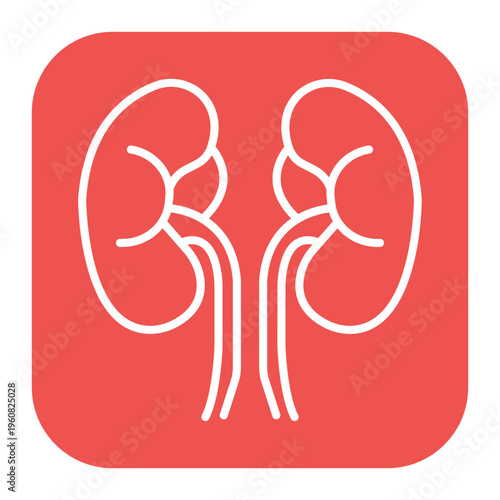 Kidneys Icon