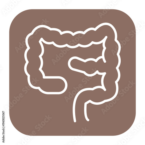 Large Intestine Icon