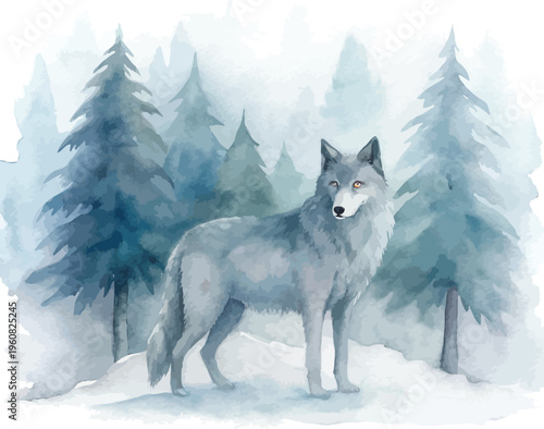 Watercolor Wolf Painting, Wild Forest Animal vector illustration isolated on white background