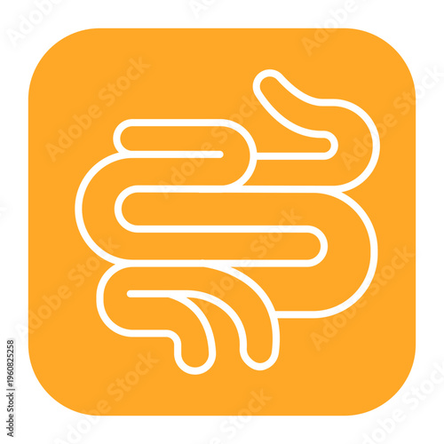 Small Intestine Icon