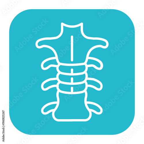 Spinal Cord Icon
