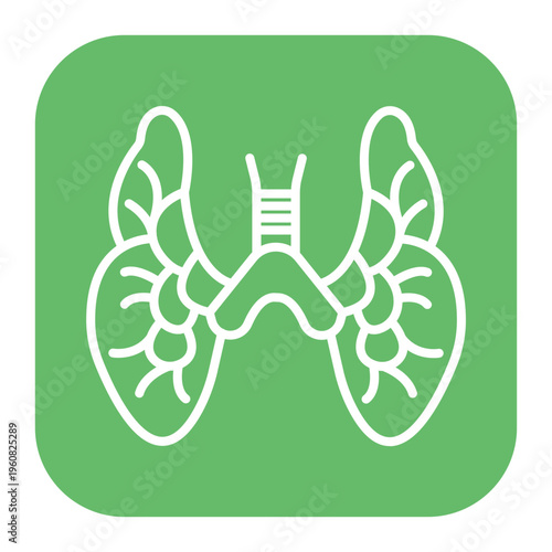 Thymus Icon