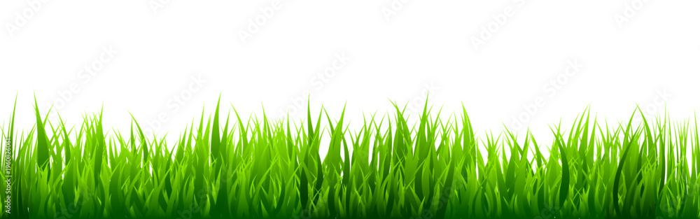 Obraz premium Meadow silhouette with green grass, plants on plain. Panoramic summer lawn landscape with herbs, various weeds. Herbal border, frame element. Black horizontal banners. Vector illustration
