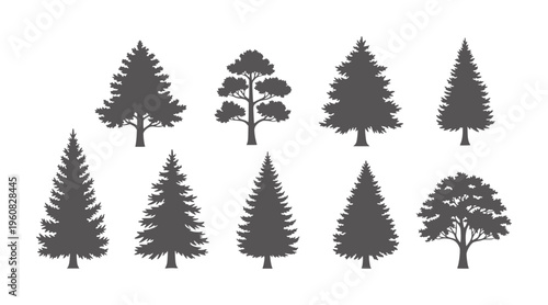 Collection of dark grey tree silhouettes white pine