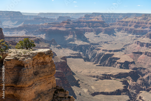 Wallpaper Mural Tree growing on a rocky outcrop on the edge of the South Rim of The Grand Canyon Torontodigital.ca