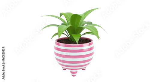Green Plant in a Pink and White Striped Pot with Legs