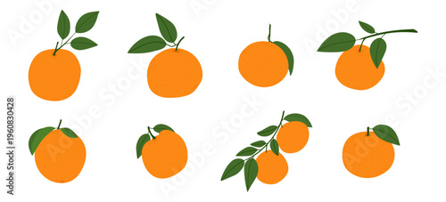 Collection of whole orange fruits with green leaves and stems in different positions. Fresh citrus fruits for healthy food, juice and product design. Flat vector illustration on white background