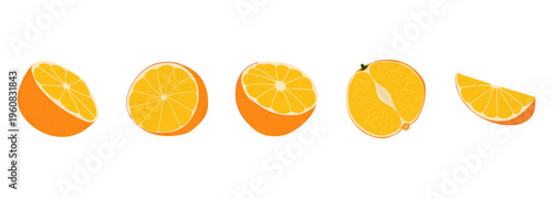 Set of cut orange fruit illustrations with halves and slices in different angles, flat vector style with grainy texture. Fresh citrus fruits for healthy eating, juices and product design.