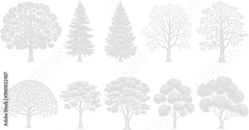 Collection of ten stylized trees, various species in silhouette for nature design, line art