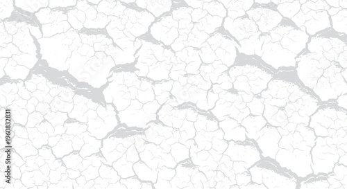 Cracked earth texture background, light gray distressed surface with fine cracks for grunge effects, weathered design elements, and abstract backgrounds, design element