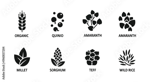 Organic superfood grain icons set, black minimalist cereal plant symbols, 8 vector elements for quinoa, amaranth, sorghum, teff and wild rice