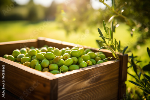 green olives fresh in wooden crate on blurred background