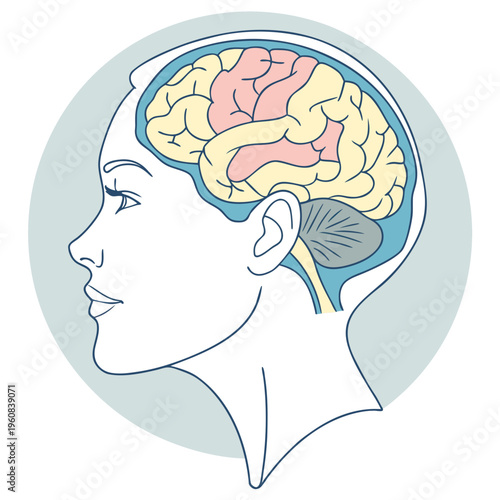 Vector illustration of a beautiful fashion woman profile silhouette with a flower design in her hair and a stylized human brain symbol representing a thinking person