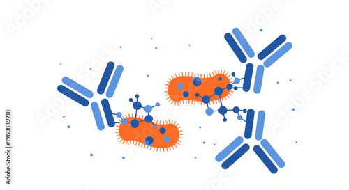 Antibodies attacking bacteria, immune system response, medical illustration