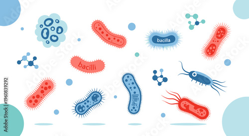 Colorful Cartoon Bacteria and Microbes Collection, Microscopic Organisms Vector Illustration