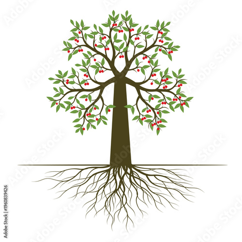 Green Cherry Tree with Leaves and Roots. Vector outline Illustration. Plant in Garden.