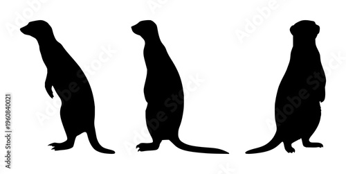 Meerkat set with a solitary standing silhouette under a pale crescent moon featuring animal, silhouette, wildlife with minimalist and black and white