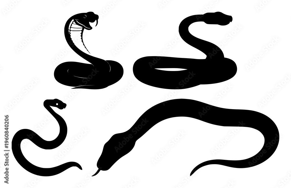 Fototapeta premium Snake coiled silhouette set with simple line art design featuring sketches, drawings, vector graphics with minimalist and simple illustrations