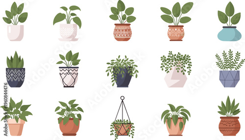 Indoor houseplants collection in decorative pots with various greenery styles, modern home botanical elements vector illustration set for interior design