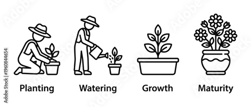 Vector icons showing plant life cycle stages: planting, watering, growth, maturity. A metaphor for business development, investment, progress, and success. Simple line art.