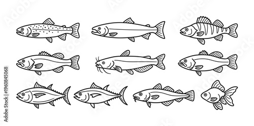 A minimalist set of fish icons in a clean line art style. Various species like trout, tuna, and salmon are included. Perfect for seafood menus, fishing logos, or packaging design.