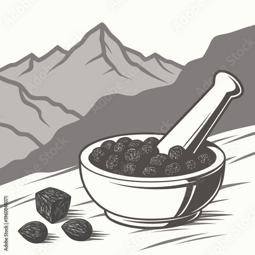 Shilajit is an ayurvedic medicine found primarily in the rocks of the Himalayas. selective focus
