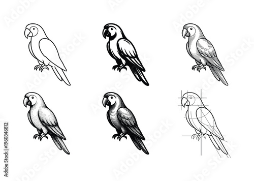 A set of six parrot illustrations showing various graphic techniques like line art, engraving, and stippling. Perfect for design tutorials, logos, or educational materials.