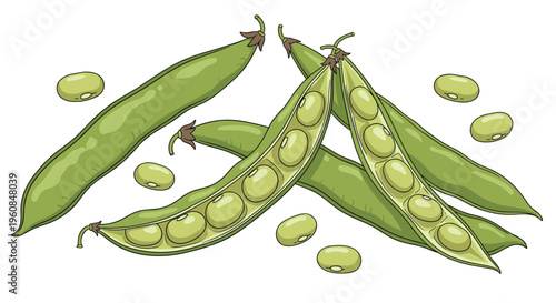 Collection of fresh green bean pods, some opened to reveal plump green beans inside, illustrating healthy legumes and wholesome, nutritious ingredients for cooking.