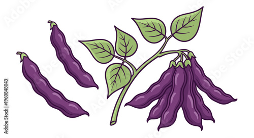 Vibrant purple bean pods on a leafy vine, accompanied by loose pods, illustrating unique legumes and colorful ingredients for diverse culinary creations.