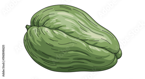Whole fresh chayote fruit illustration, showcasing its distinct light green, pear-shaped, and ridged form, symbolizing healthy tropical produce and versatile culinary ingredients.