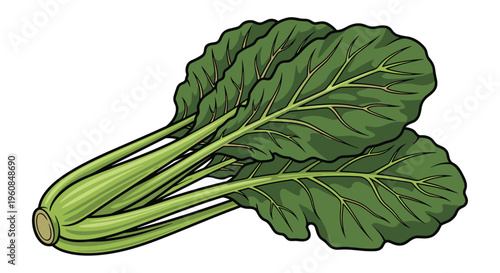 Bundle of fresh leafy green vegetables, possibly bok choy or mustard greens, tied together, representing healthy produce and wholesome culinary ingredients.