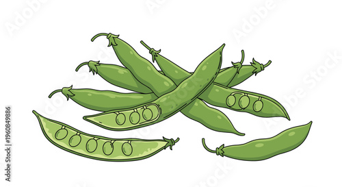 Collection of fresh green pea pods, with some opened to reveal plump peas inside, illustrating healthy legumes and wholesome, nutritious ingredients for cooking.