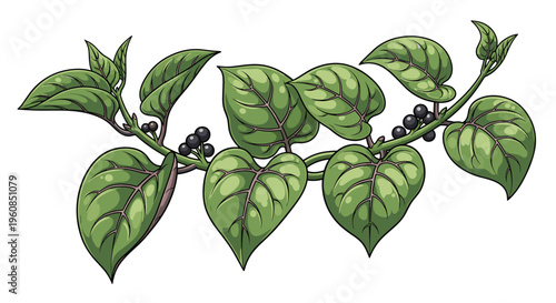 Lush green Malabar spinach vine, adorned with small black berries and vibrant, thick leaves, symbolizing natural growth, edible plants, and botanical beauty.