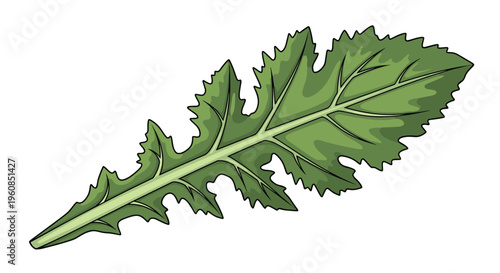 Single large mustard green leaf, illustrated with its deeply lobed and serrated edges, conveying crispness and vibrant green color, ideal for culinary designs.