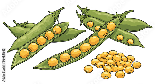 Collection of fresh soybeans, some in their pods and others shelled, illustrating healthy legumes and wholesome, protein-rich ingredients for cooking and snacking.
