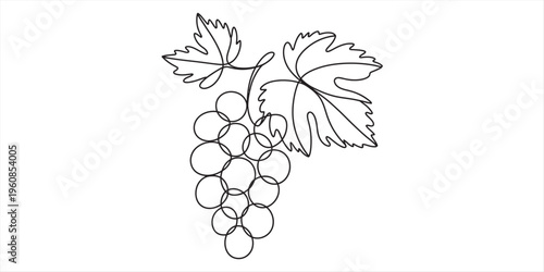 black and white illustration of grapes and leaves