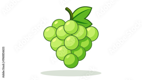 Fresh Green Grapes Fruit Isolated Healthy Organic Food Illustration