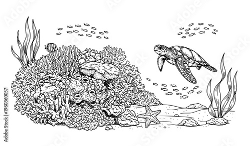 Underwater Sea Life Black and White Vector Sketch with Coral, Fish, and Turtle Illustration