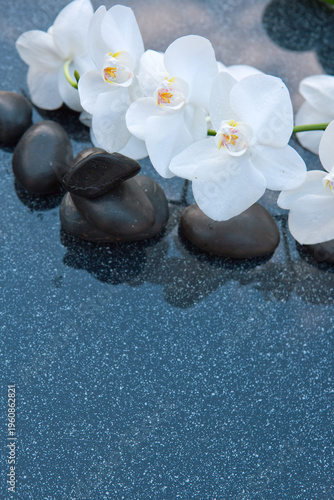 Spa stones with white orchid flowers on gray.