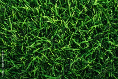 Vibrant green grass texture with lush blades in natural pattern