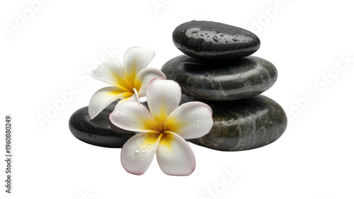 Stacked gray stones with white flowers stacked stones plumeria isolated on a transparent background