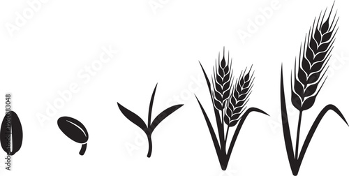 Black wheat and grain silhouettes on white background illustration
