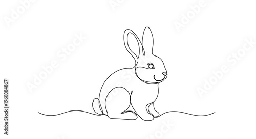 A cute little rabbit sitting on ground.