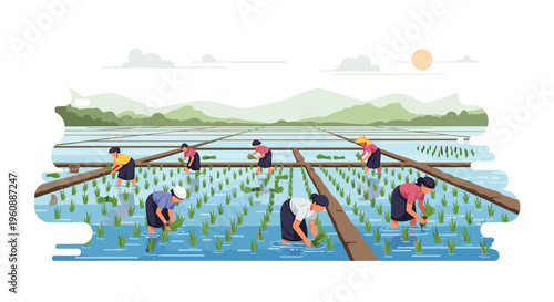 Multiple farmers plant rice seedlings in a flooded paddy field with distant mountains under a sunny sky.