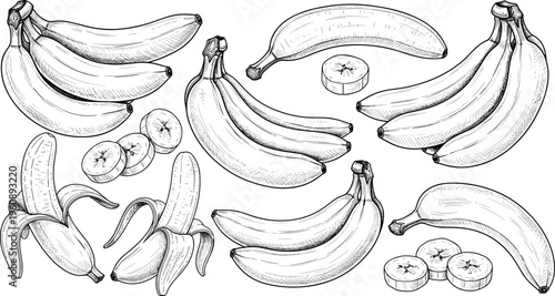 Banana engraving set with whole bunches, slices and peeled fruits. Hand drawn vintage illustration. Detailed retro style perfect for packaging, labels and organic food design.
