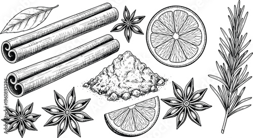 Spice and herb engraving set with cinnamon, star anise, citrus slices and rosemary. Hand drawn vintage botanical illustration. Ideal for packaging and culinary design.